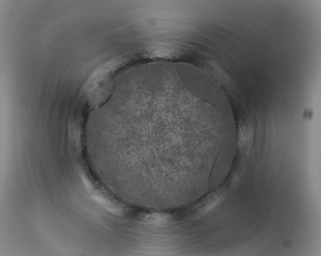 X0000112880444200908281641