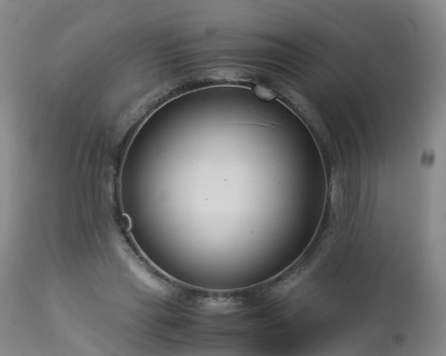 X0000112880445200908281641