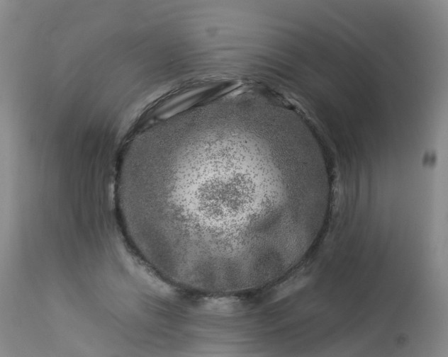 X0000112880446200908281641