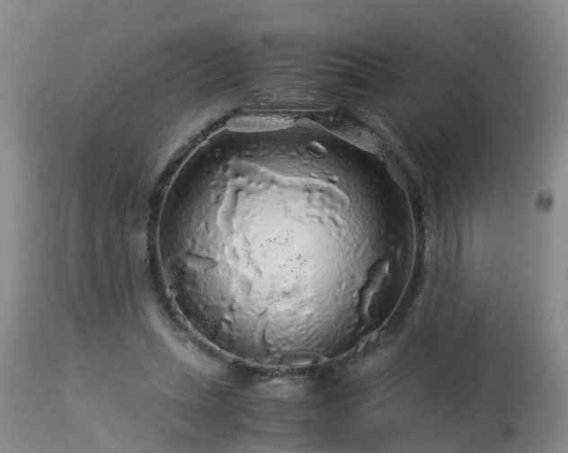 X0000112880447200908281641