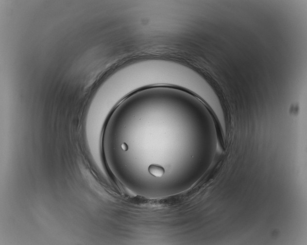 X0000112880448200908281641