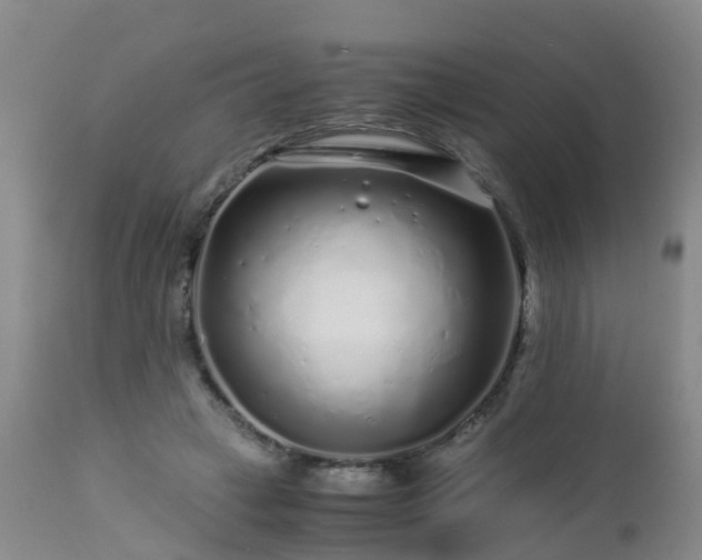 X0000112880449200908281641