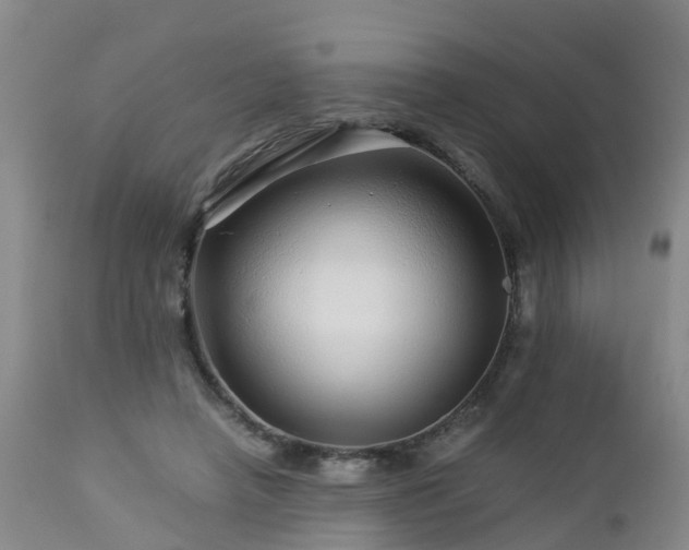 X0000112880450200908281641