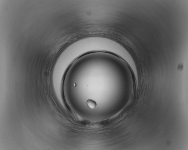 X0000112880452200908281641