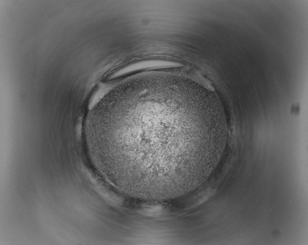 X0000112880454200908281641