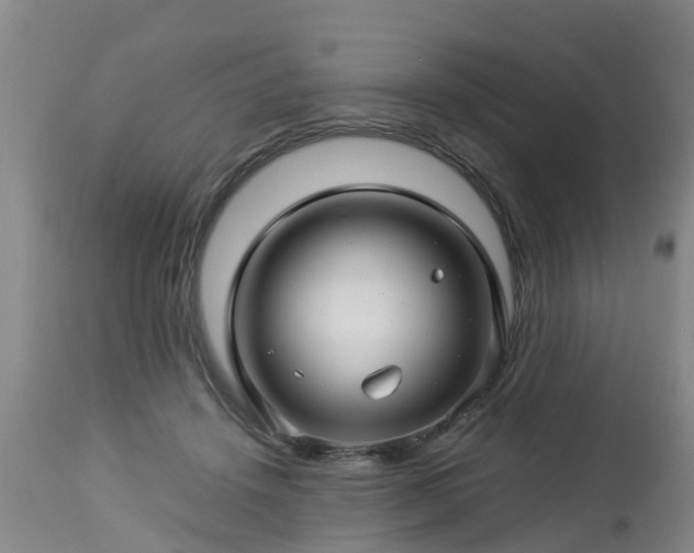 X0000112880456200908281641