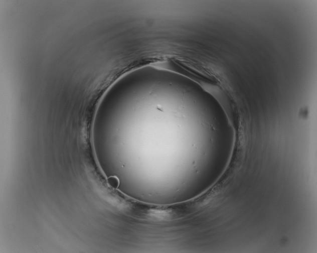 X0000112880457200908281641