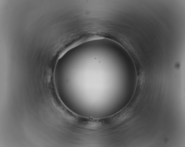 X0000112880458200908281641