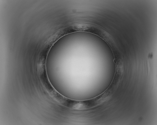 X0000112880460200908281641