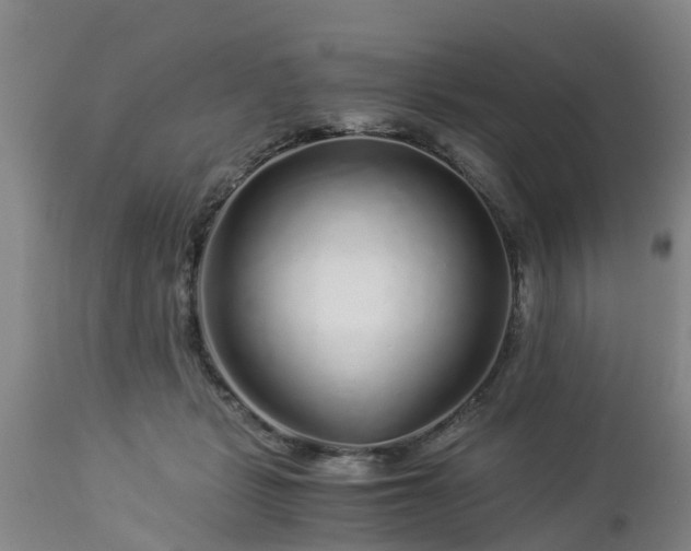 X0000112880461200908281641