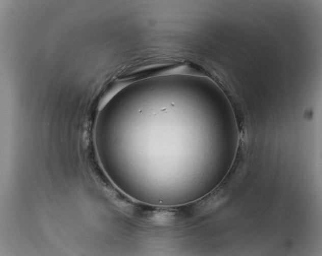 X0000112880462200908281641