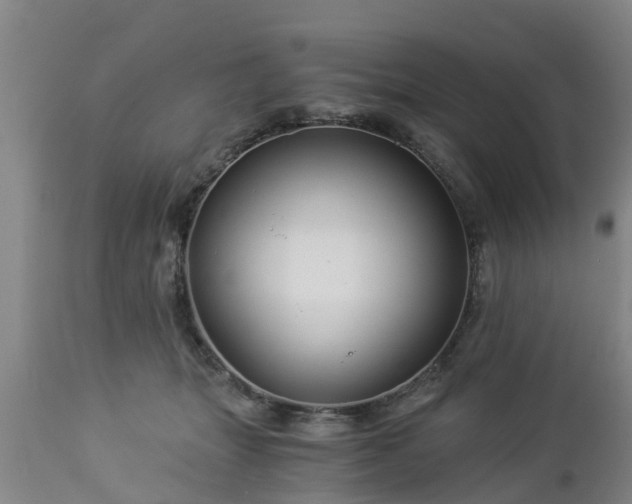 X0000112880463200908281641