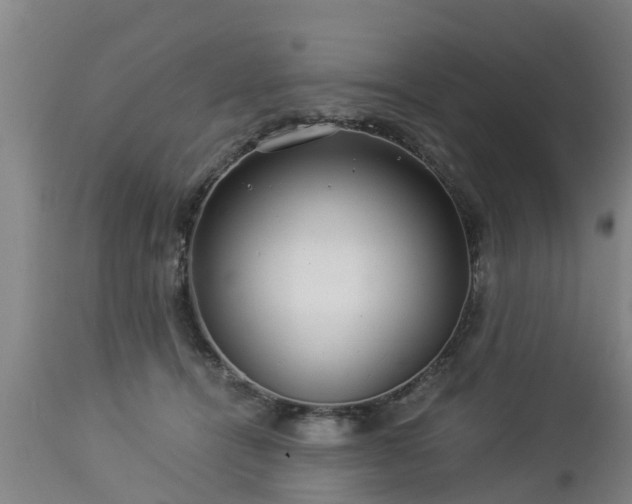 X0000112880464200908281641