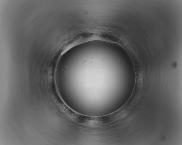 X0000112880466200908281641