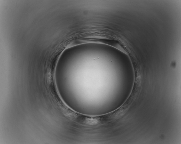 X0000112880469200908281641