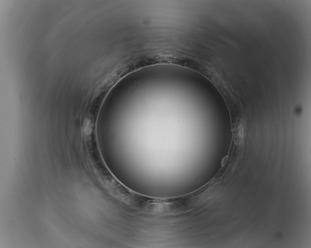 X0000112880472200908281641