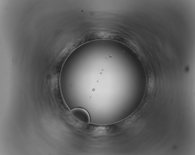 X0000112880473200908281641