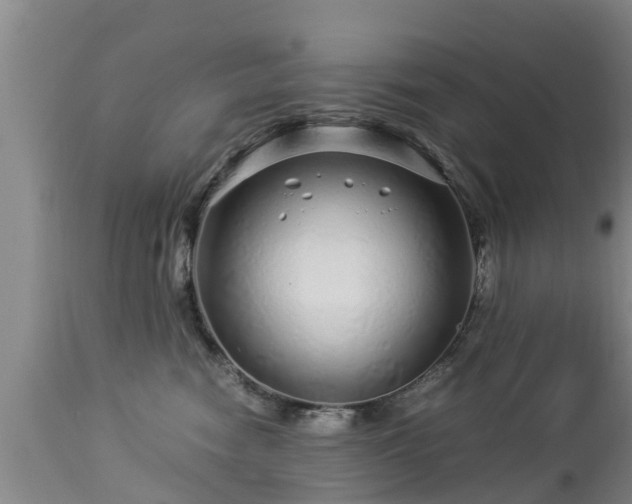 X0000112880474200908281641