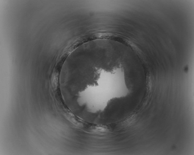 X0000112880475200908281641