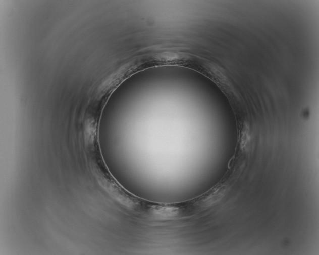 X0000112880476200908281641