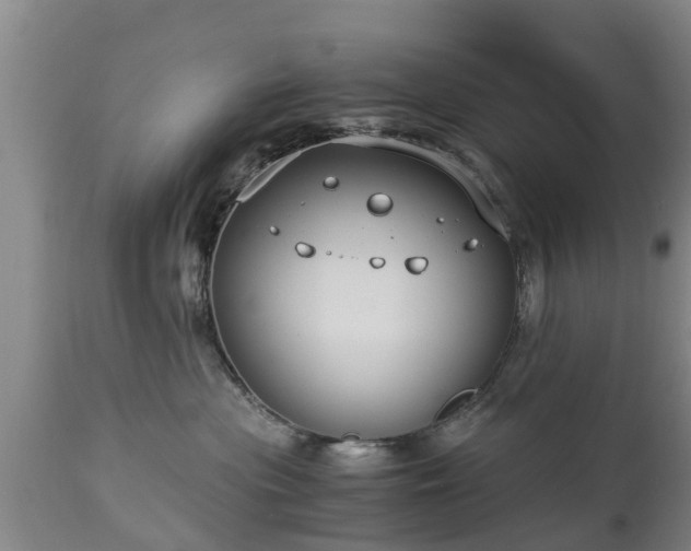 X0000112880477200908281641