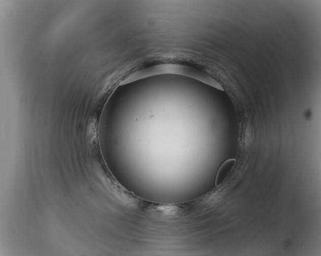 X0000112880478200908281641