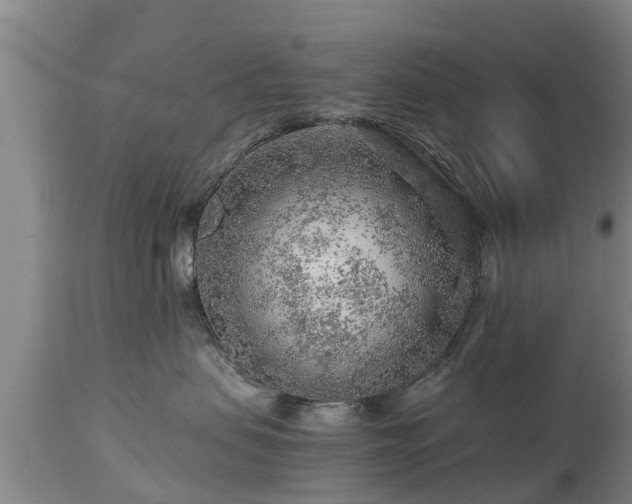 X0000112880479200908281641