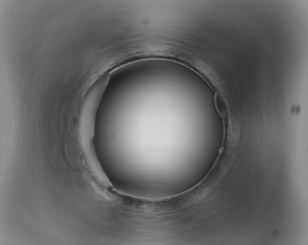 X0000112880481200908281641