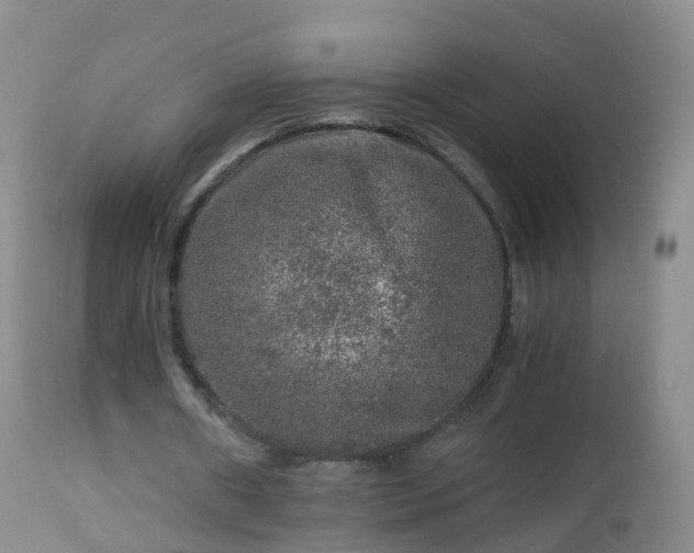 X0000112880482200908281641