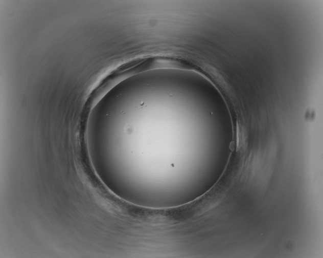 X0000112880483200908281641