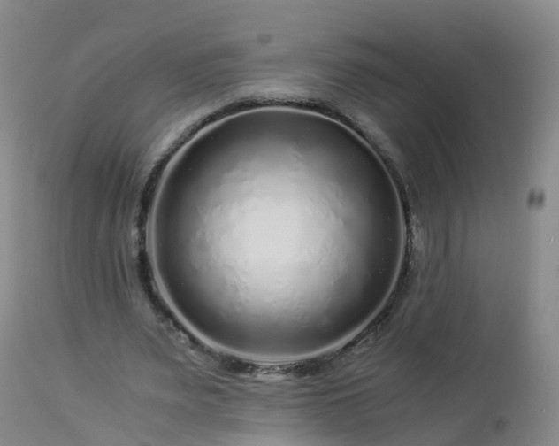 X0000112880487200908281641