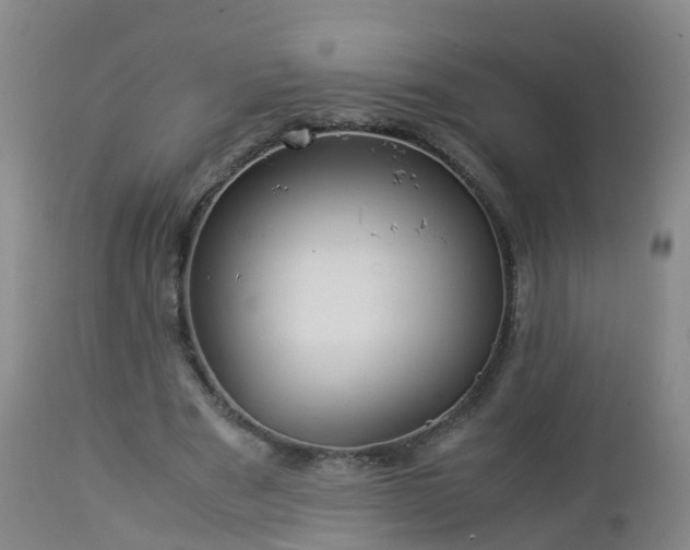 X0000112880489200908281641