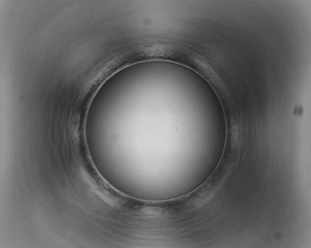 X0000112880490200908281641