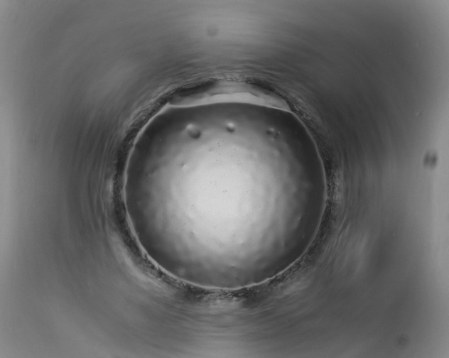 X0000112880491200908281641