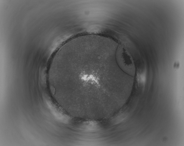 X0000112880492200908281641