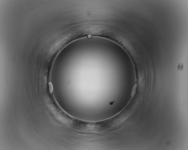 X0000112880493200908281641