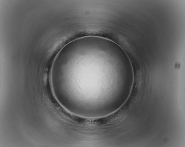 X0000112880495200908281641