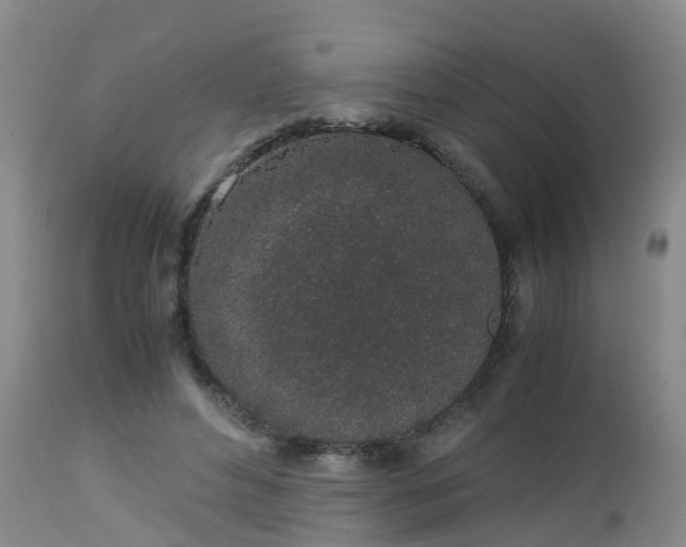 X0000112880496200908281641