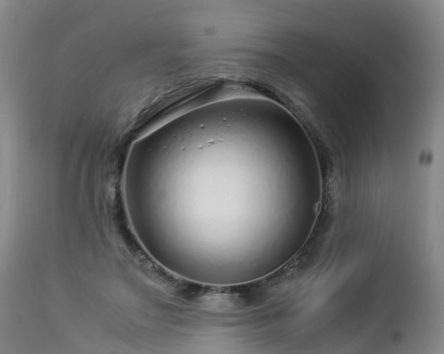 X0000112880499200908281640