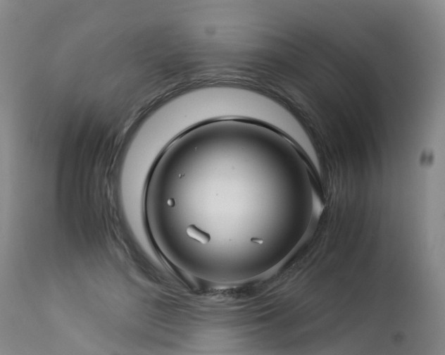 X0000112880500200908281640