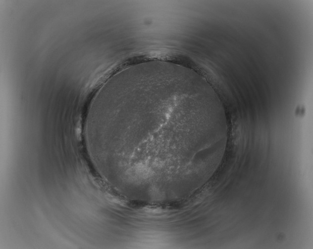 X0000112880502200908281640