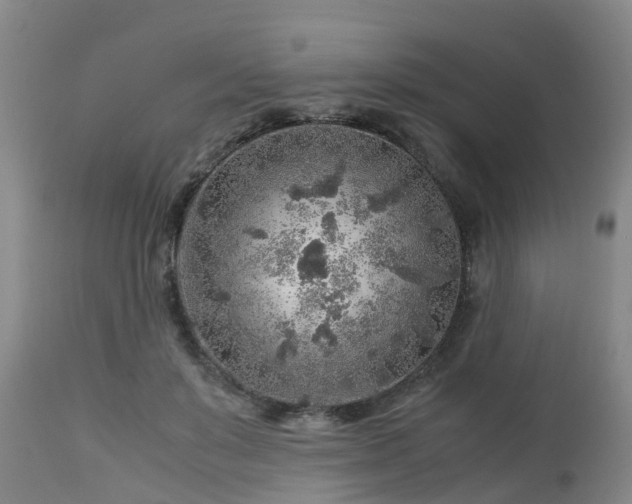 X0000112880503200908281640