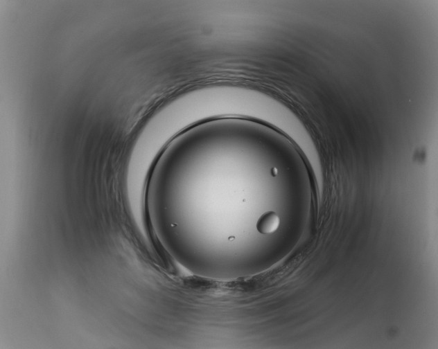 X0000112880504200908281640