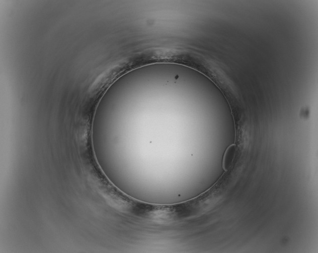 X0000112880505200908281640