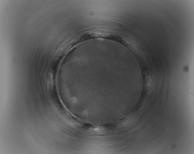 X0000112880506200908281640