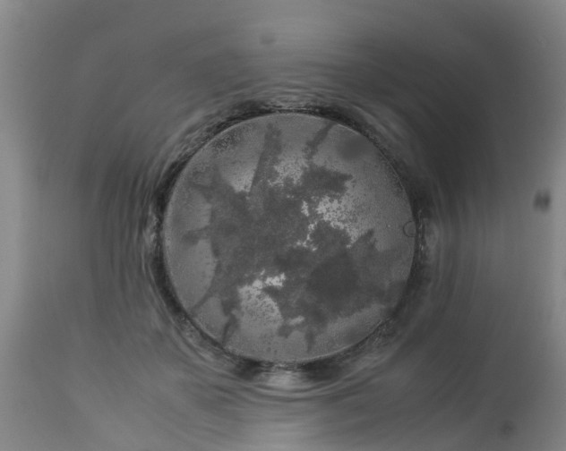 X0000112880507200908281640