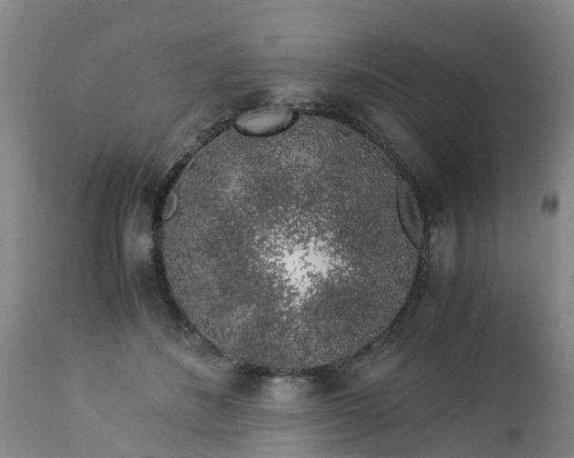 X0000112880508200908281640