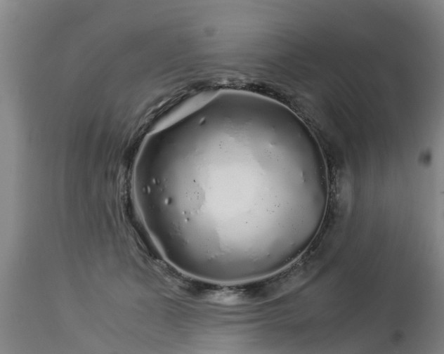 X0000112880511200908281640