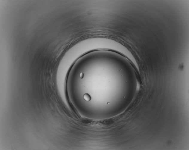 X0000112880512200908281640