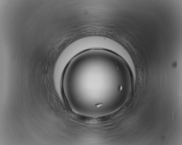 X0000112880513200908281640